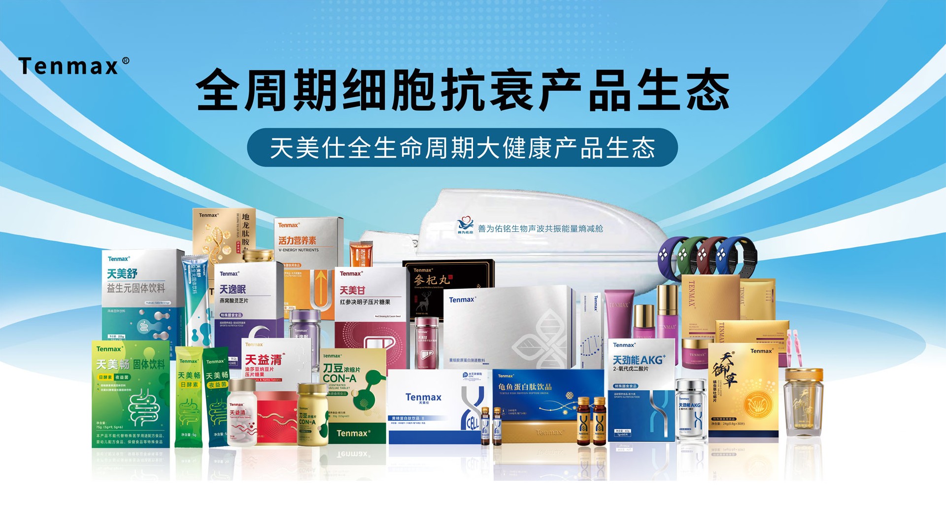 公司介绍